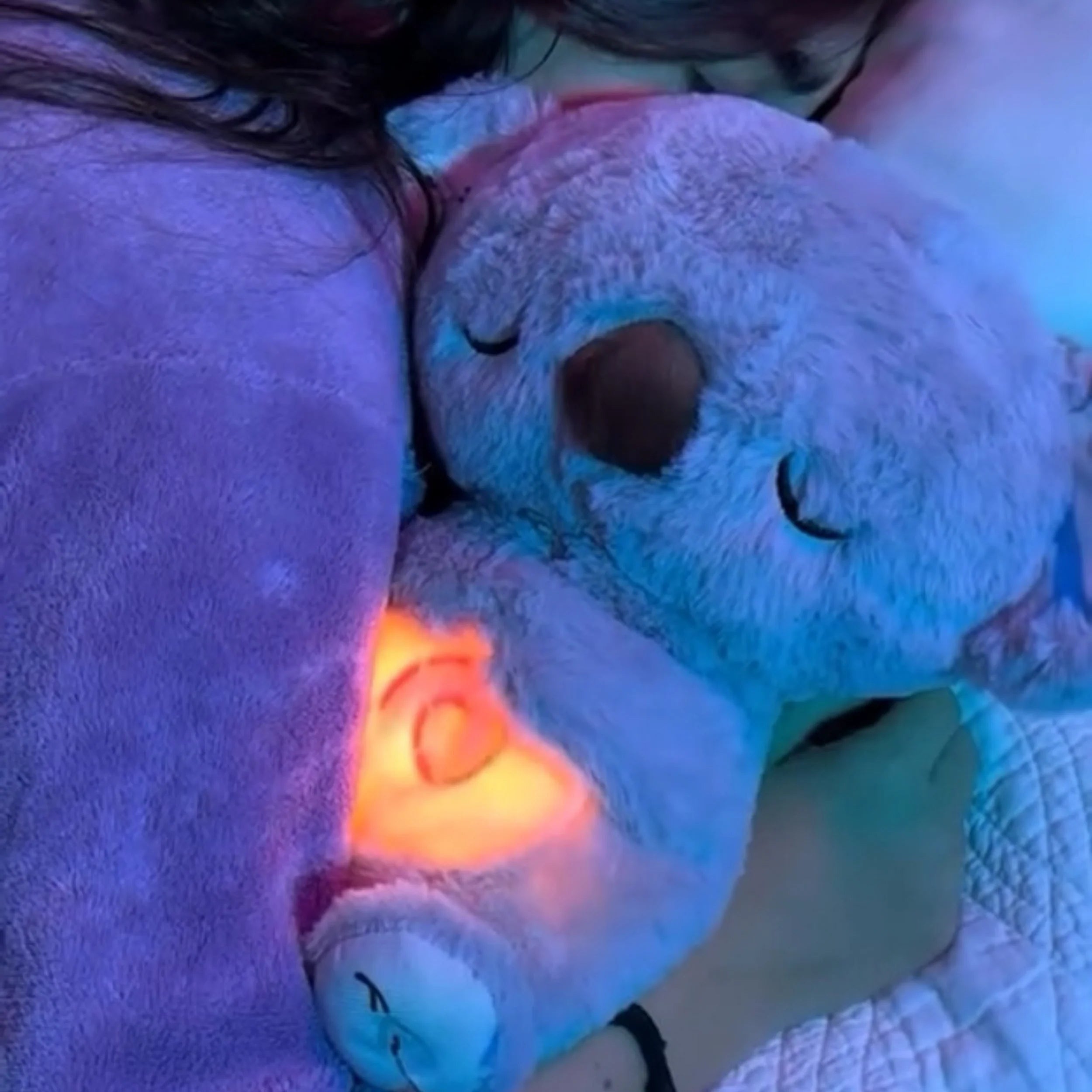 KozyKoala - En stilla kram i mörkret